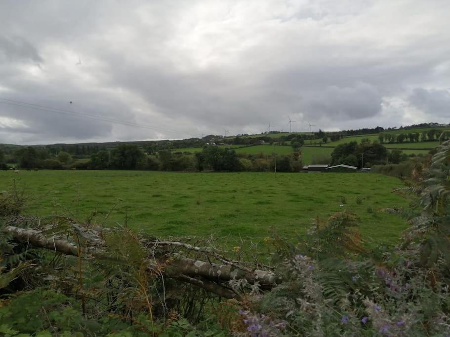Caman Inn Kilkenny Kültér fotó